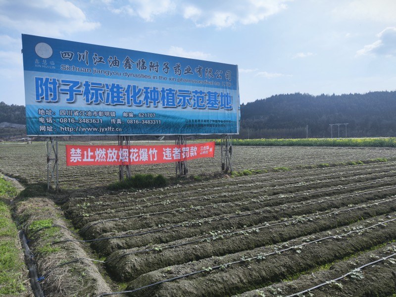 联系我们