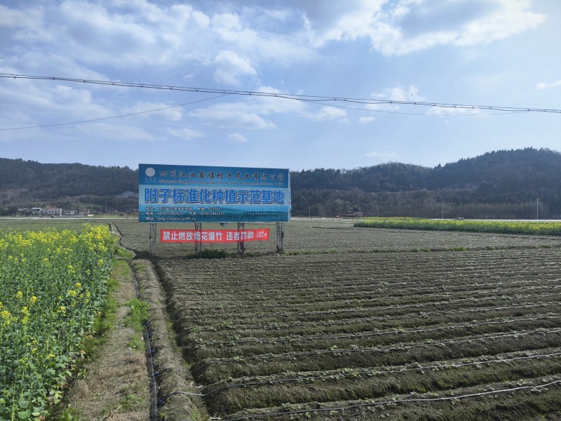 种植基地