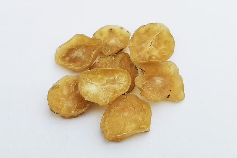 白附片